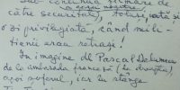 Explicaţie scrisă de Doina Cornea a fotografiei precedente, făcute de Securitate Explicaţie scrisă de Doina Cornea a fotografiei precedente, făcute de Securitate