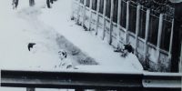 Fotografie făcută de Securitate: Doina Cornea cu domnul Pascal Delumeau de la Ambasada Franţei Fotografie făcută de Securitate: Doina Cornea cu domnul Pascal Delumeau de la Ambasada Franţei